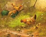 unknow artist Cocks 100 oil painting reproduction